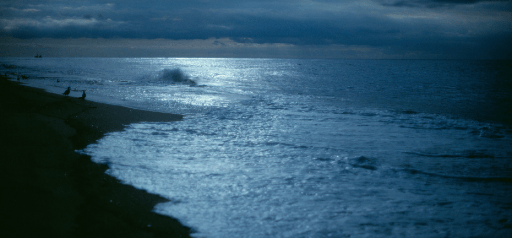 Too Good to Be&nbsp;True